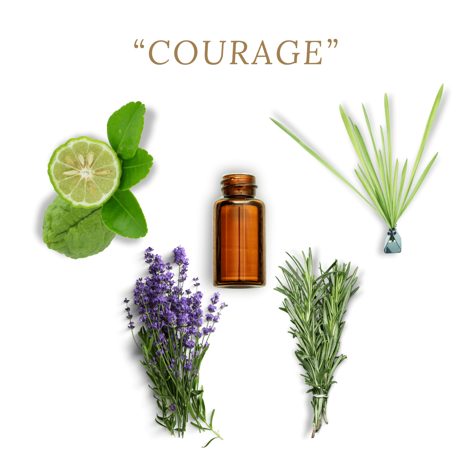 Duft COURAGE aus ätherischen Ölen mit Bergamotte, Lavendel, Rosmarin und Vetiver