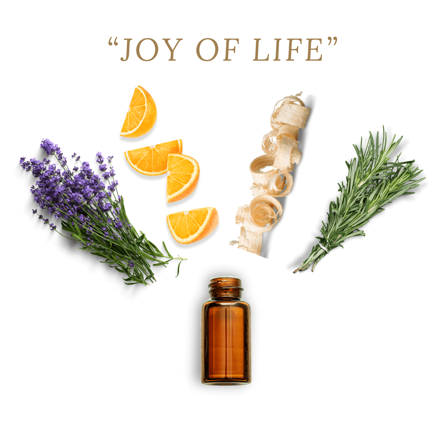 Duft Joy of life aus ätherischen Ölen mit Orange, Lavendel, Zedernholz und Rosmarin