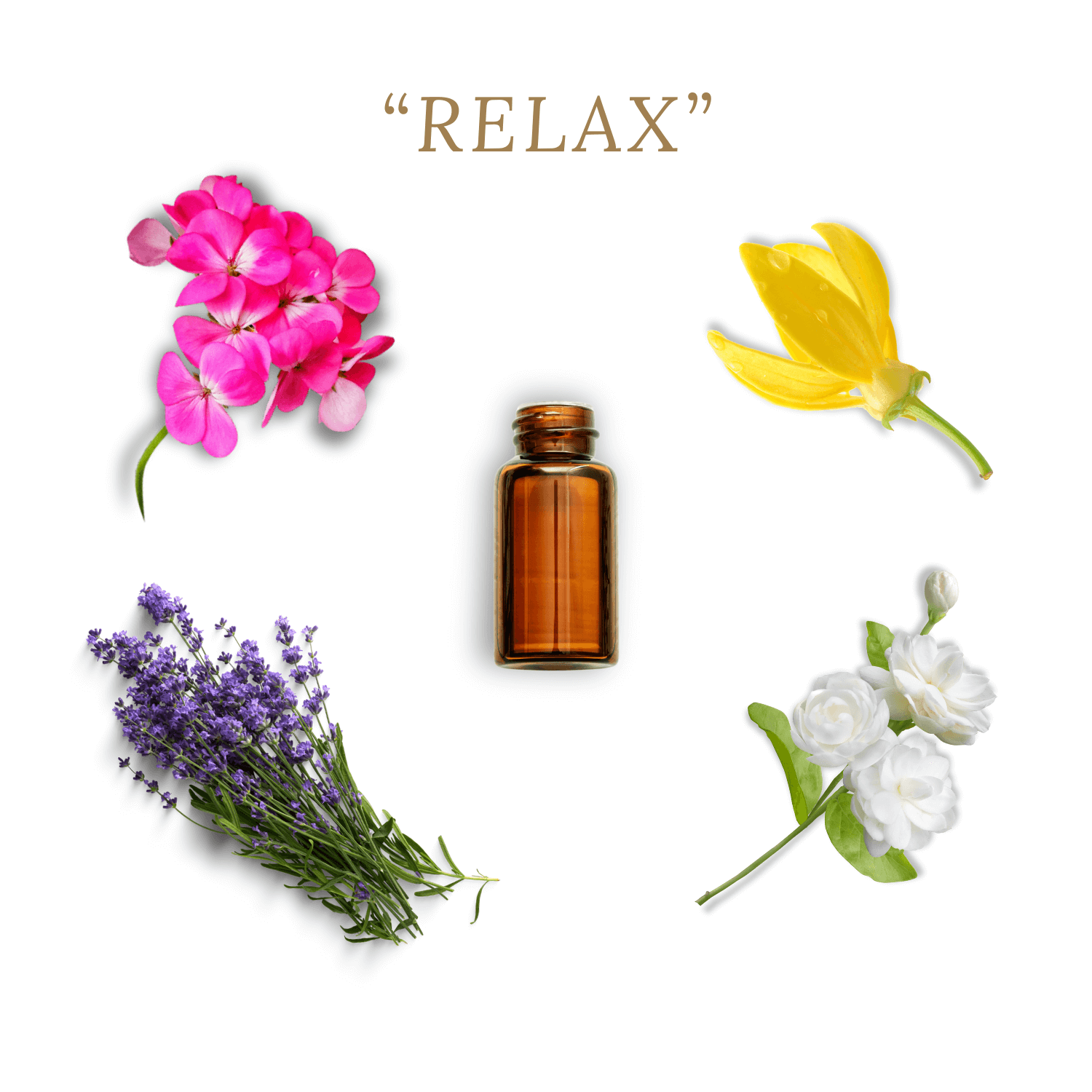 Duft Relax aus ätherischen Ölen mit Geranie, Lavendel, Ylang Ylang und Jasmin